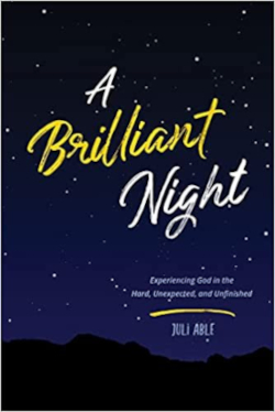 A Brilliant Night by Juli Able